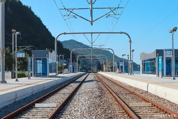 정동진역 바다와 가장 가까운 기차역 KTX 누리로 열차 동해 일출 명소 풍경