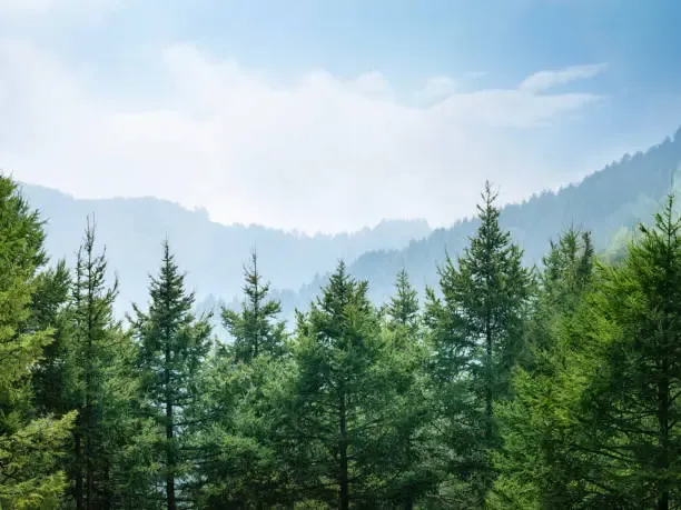 국립 운장산자연휴양림 예약