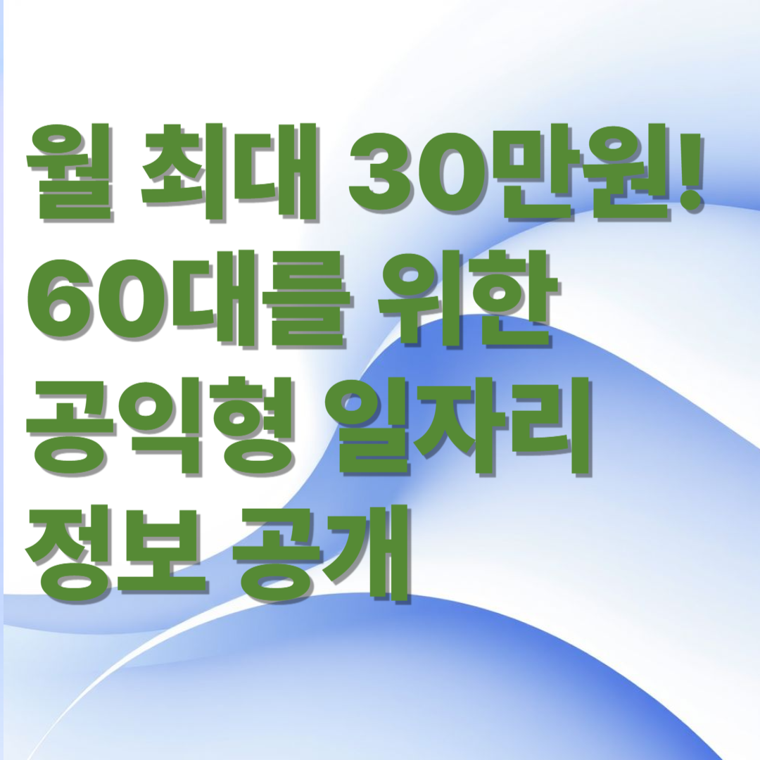 월 최대 30만원! 60대 시니어를 위한 공익형 일자리 정보 공개