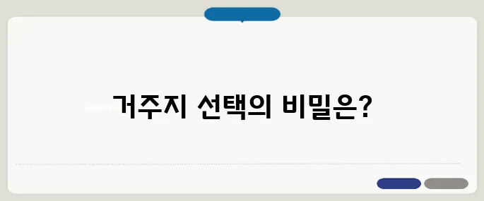 은퇴 후 거주지 선택, 도심과 지방 중 어느 쪽이 더 유리할까?