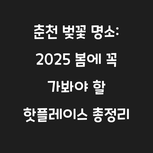 춘천 벚꽃 명소: 2025 봄에 꼭 가봐야 할 핫플레이스 총정리 대표 이미지
