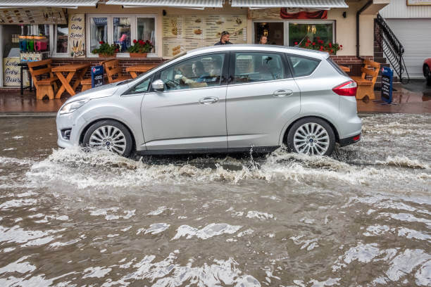 침수차 식별 가이드