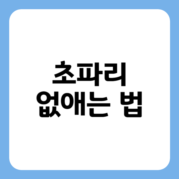썸네일 : 초파리 없애는 법