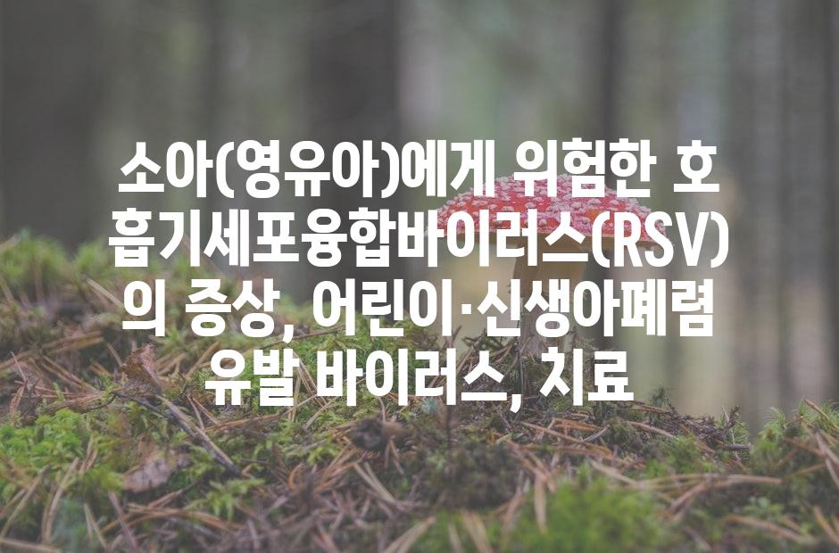 샘플 (42)