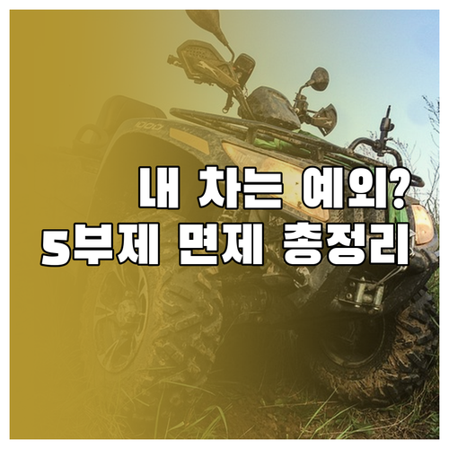 차량 5부제 예외 대상 및 면제 차량..