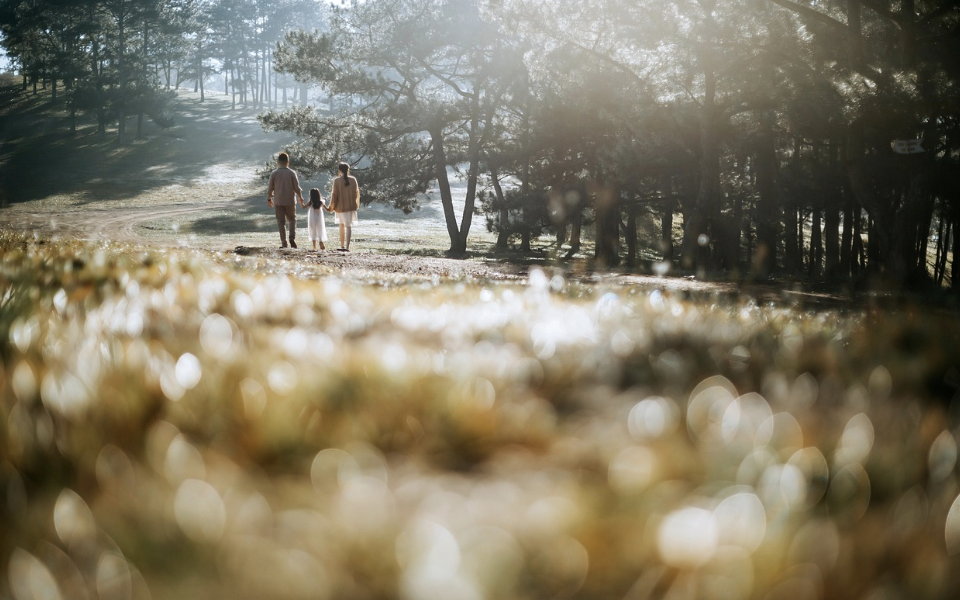 방사선치료 부작용, 보호자가 미리 알았으면 좋았던 것들｜암환자 가족의 현실 기록