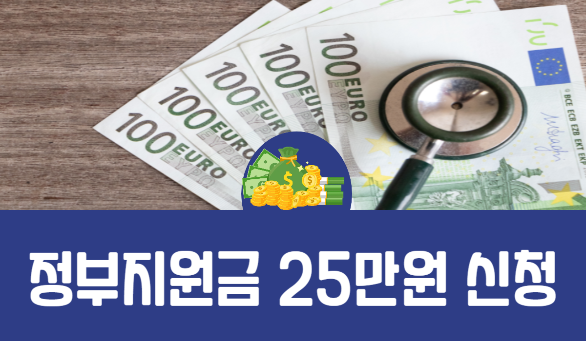 정부지원금 25만원 신청