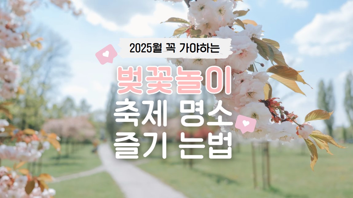 2025년 벚꽃 놀이 가자 - 개화 시기 및 즐기는법 총정리