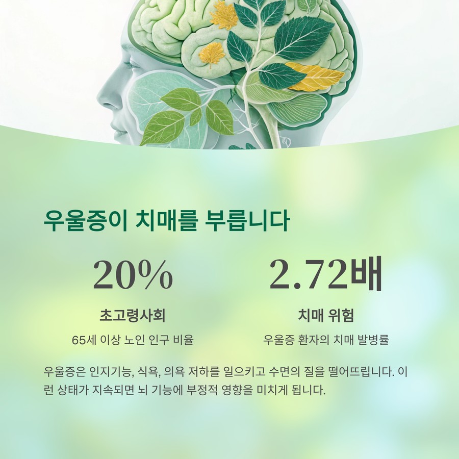 노령기 정신질환의 숨겨진 위험, 우울증이 치매를 부릅니다