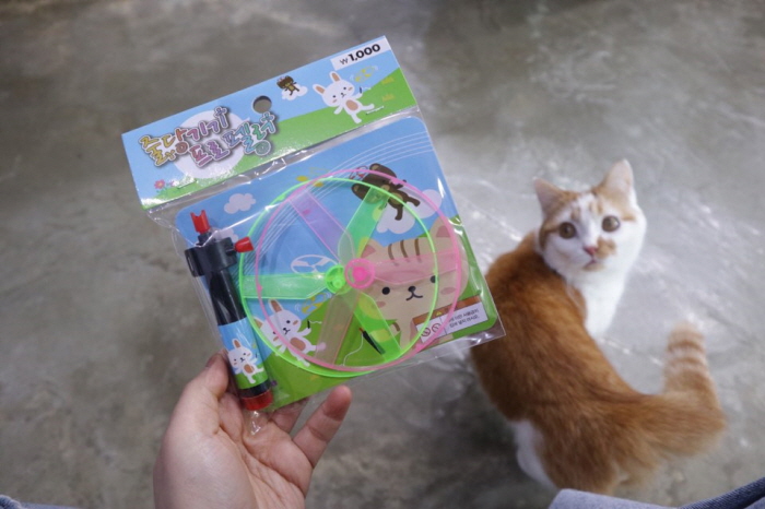 다이소고양이장난감