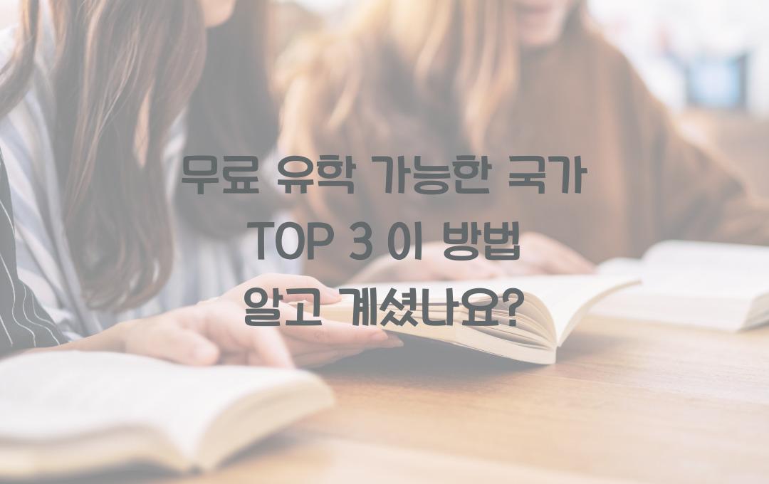무료 유학 가능한 국가 TOP 3! (이 방법 몰랐다면 손해)
