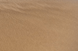 Tile 16