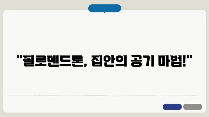 공기 정화를 위한 최고의 실내 식물 필로덴드론