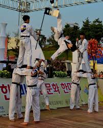 항저우 아시안 게임 태권도 메달 총정리 (금메달 위주)