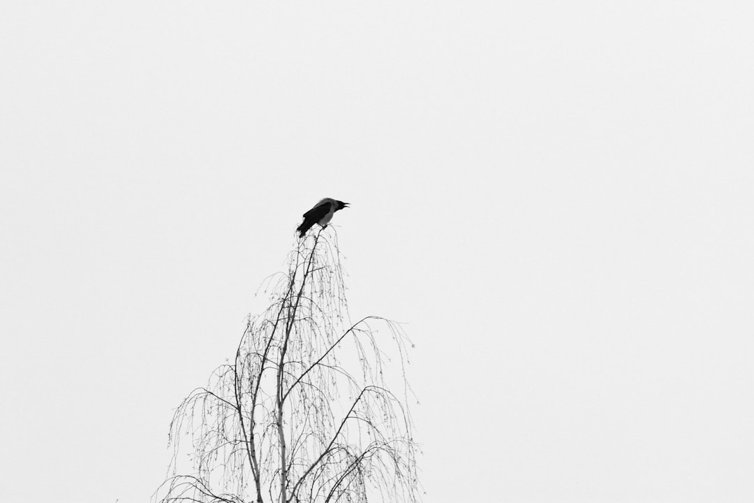 Withholding