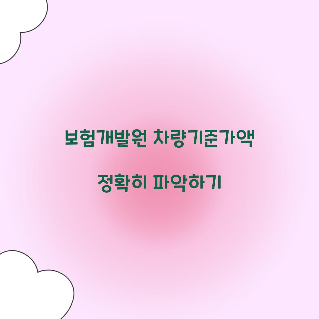 보험개발원 차량기준가액