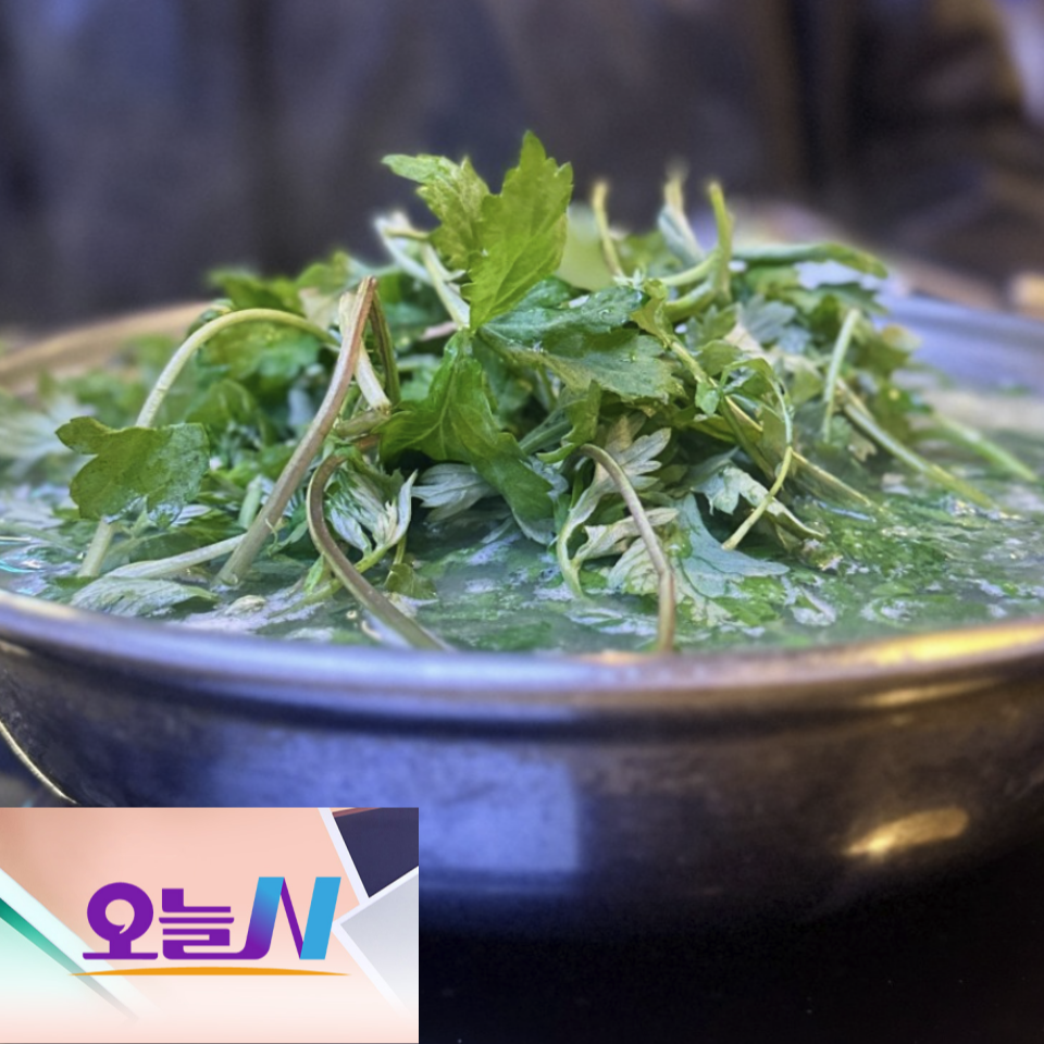 오늘N 할매식당 을지로 충무집 도다리쑥국 멍게비빔밥