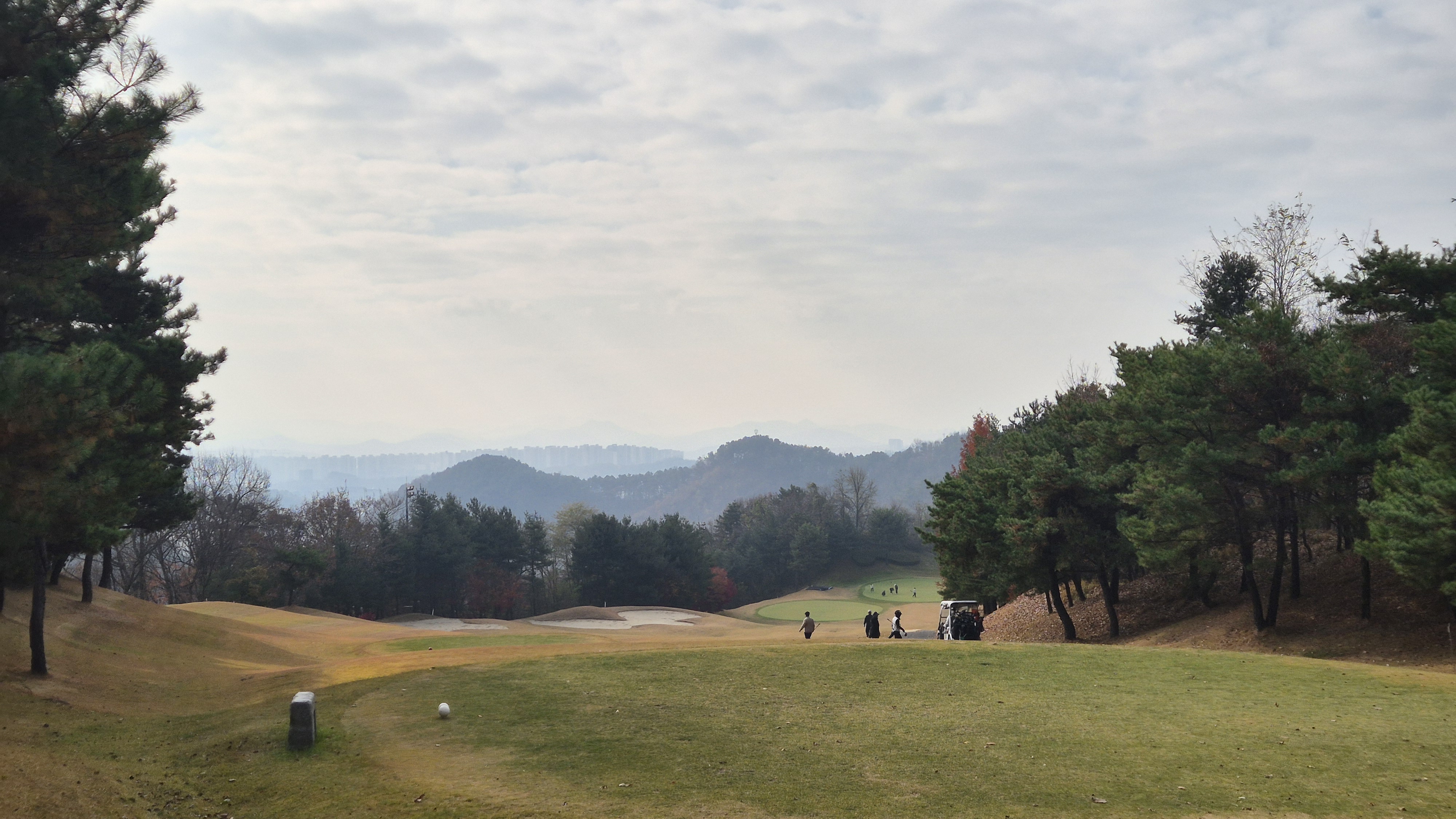 올데이 떼제베cc 누리코스 사진 및 공략 정보