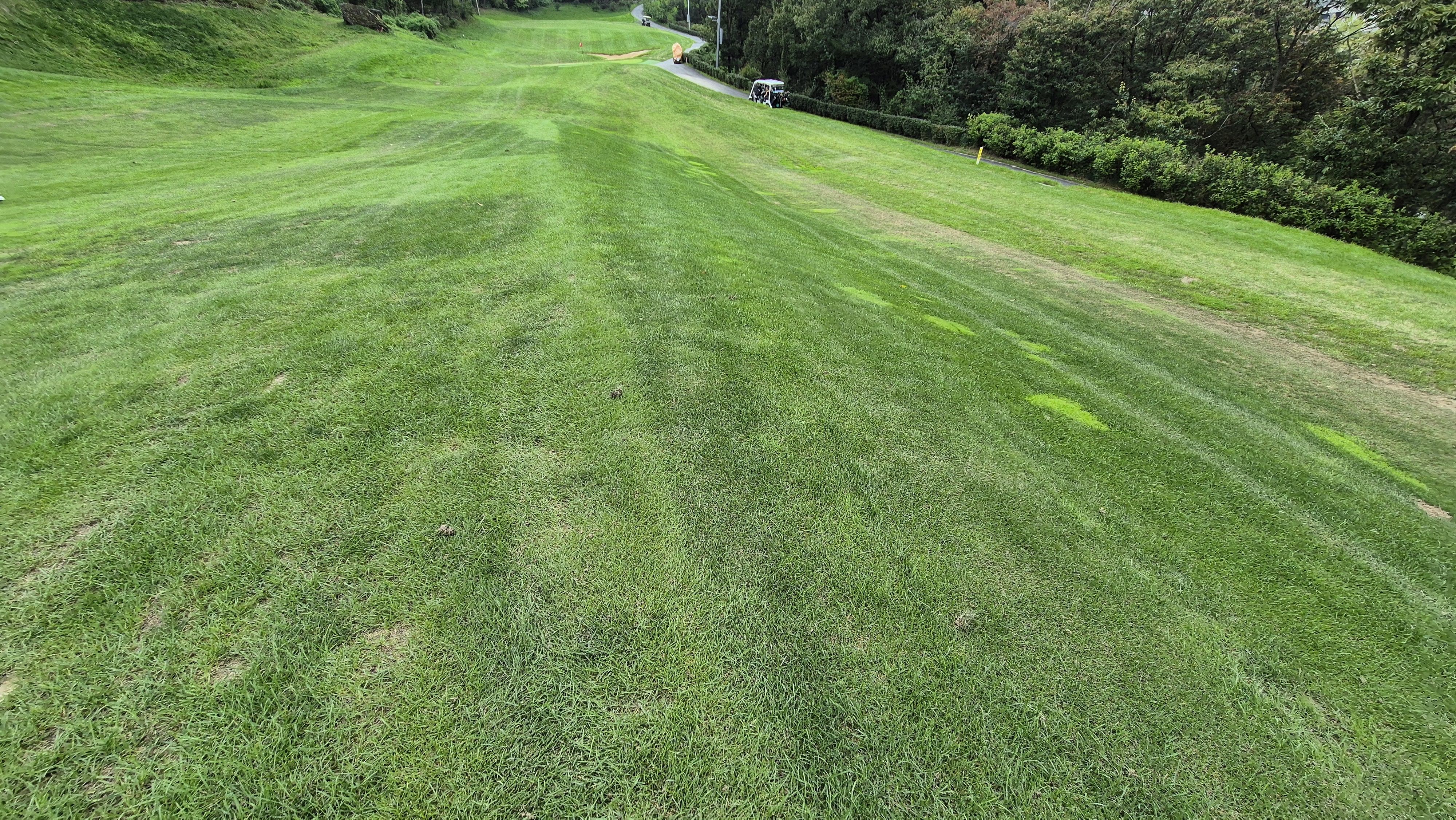 블랙스톤 벨포레cc 코스 난이도