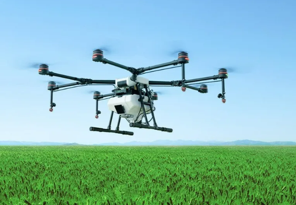 아그라스-시리즈