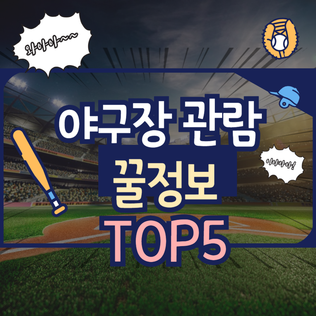 야구관람팁
