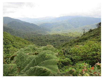 로컬을 만나는 여행: 지역 커뮤니티와 상생하는 친환경 여행지