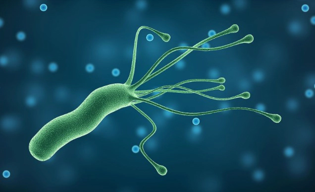 헬리코박터균 증상 8가지 