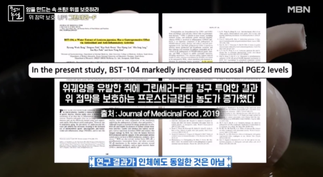 그린세라-f-효능-부작용-위암-예방