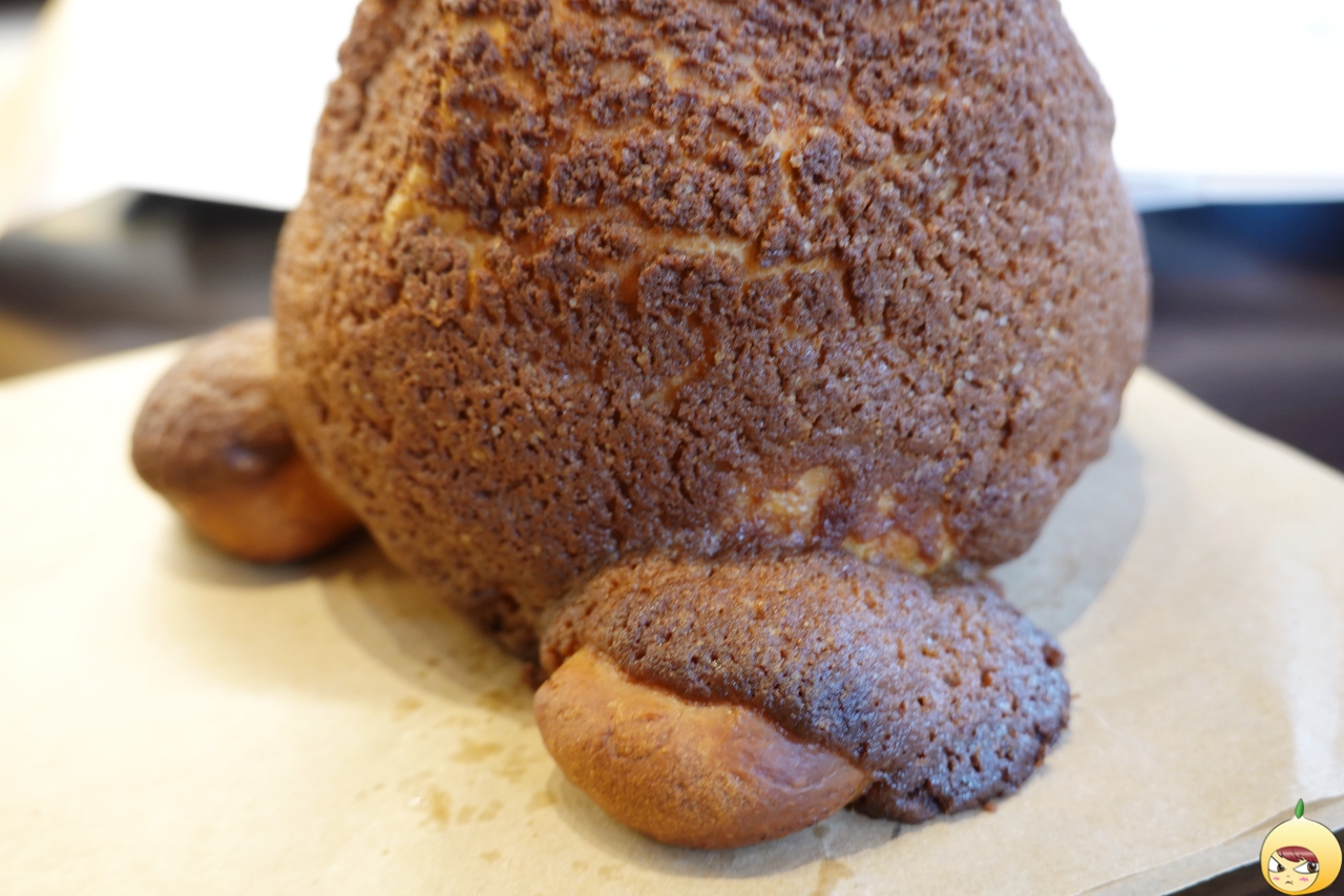 모카번 귀에 집중