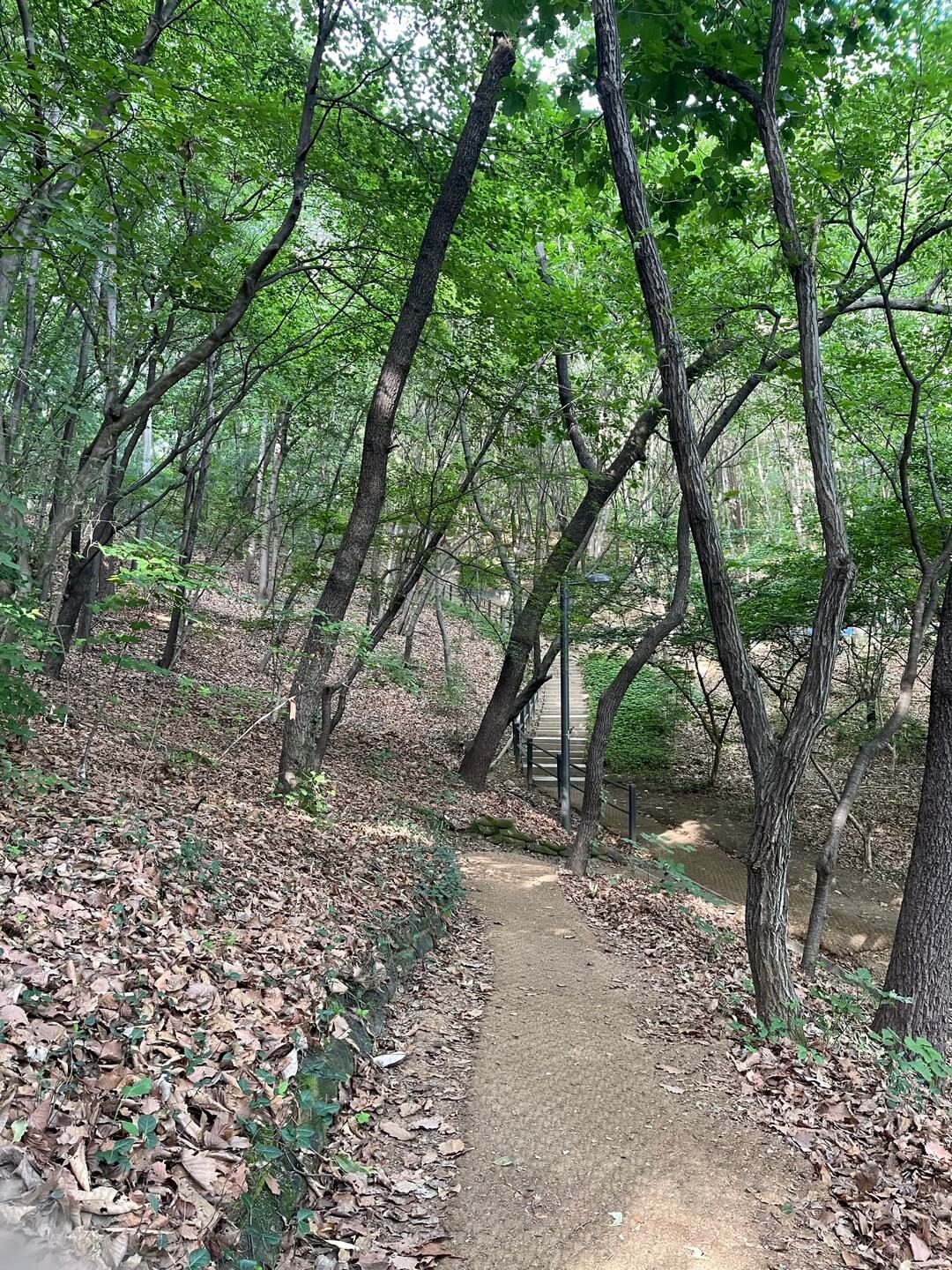 공복운동, 만보걷기, 산책로