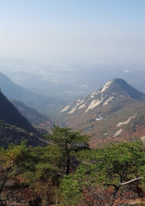 2025년 을사년 새해 해돋이 명소 top10