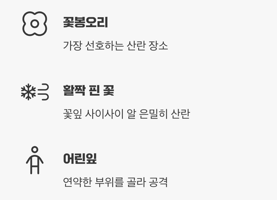 알을 낳는 비밀 장소, 바로 ‘꽃’