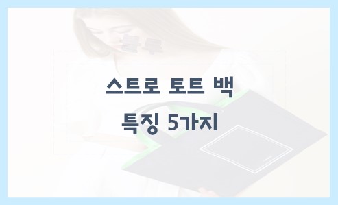 스트로 토트백 특징 5가지