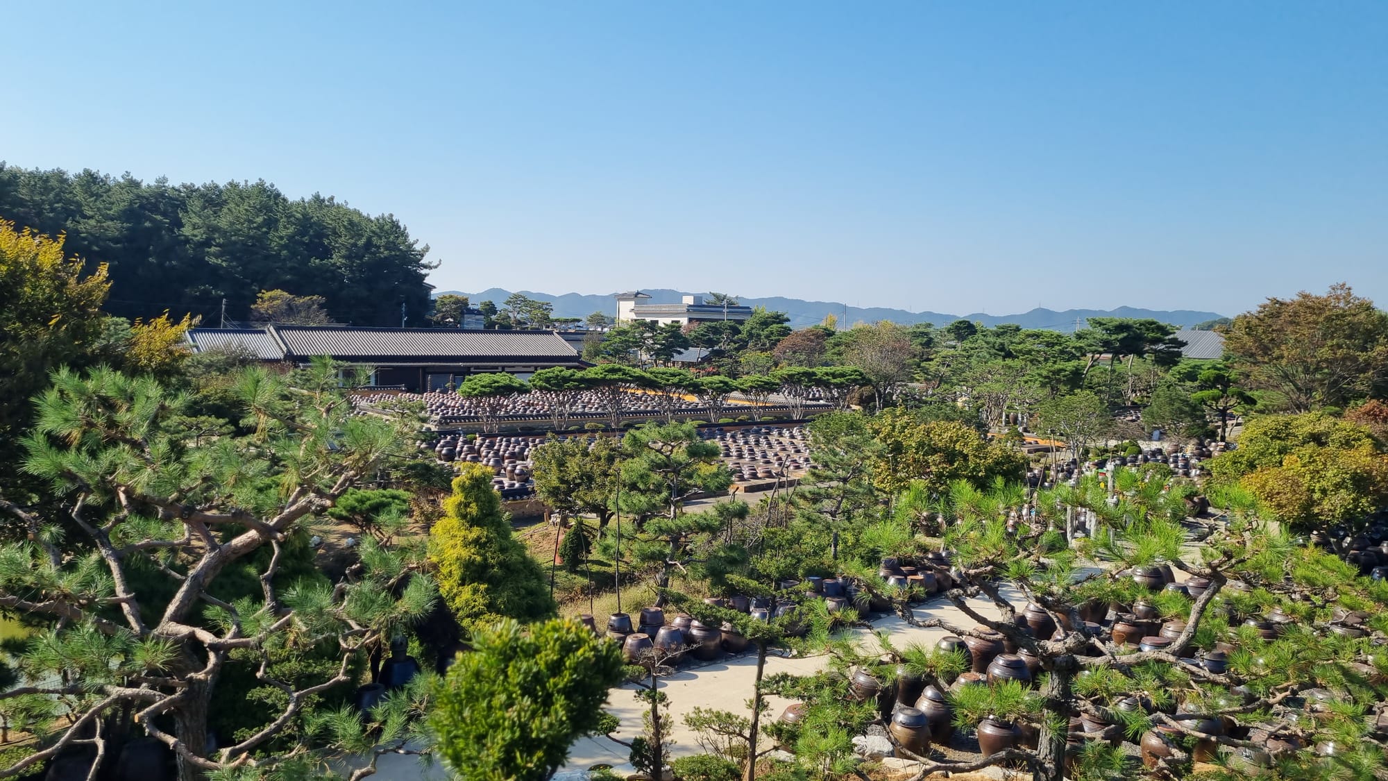 전망대에서 바라본 고스락 전경을 보여주는 이미지입니다.