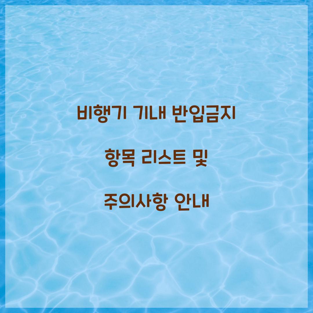 비행기 기내 반입금지