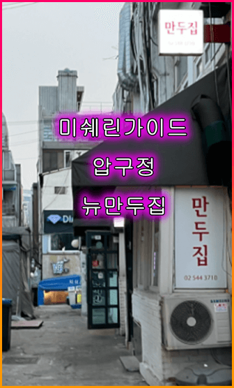 압구정_뉴만두집