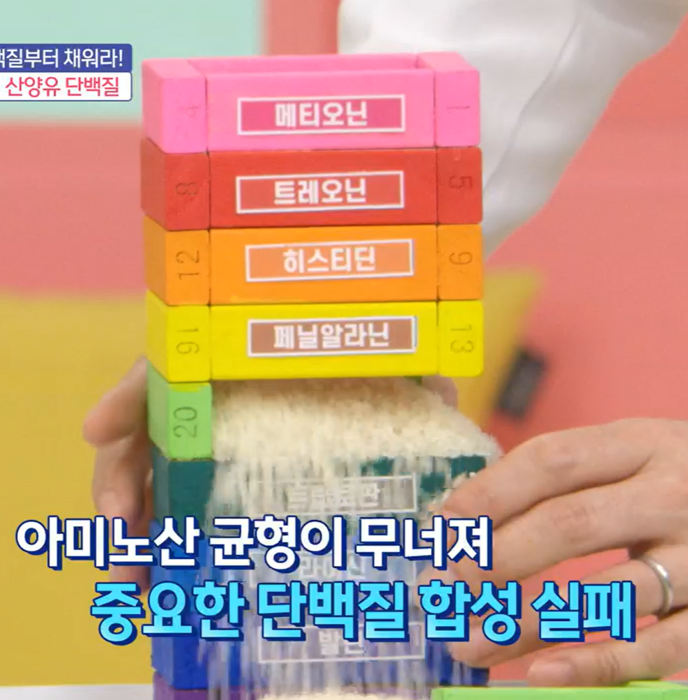 산양유 단백질 효능