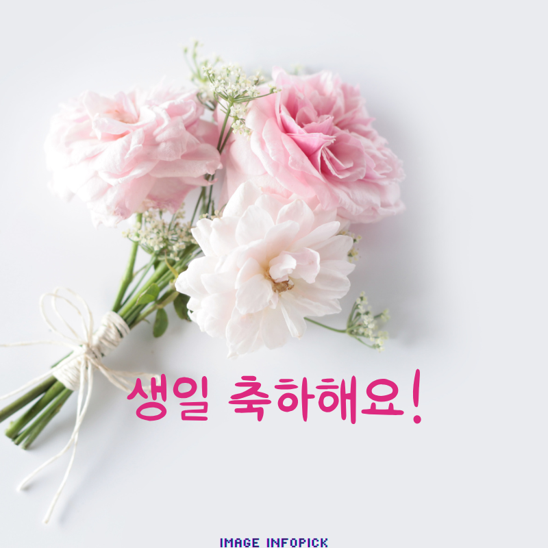 생일 축하 메세지 문구 이미지 모음 생일 축하 인사말 글귀