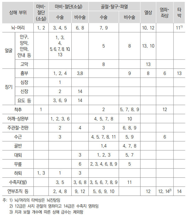 자동차 사고 상해 급수