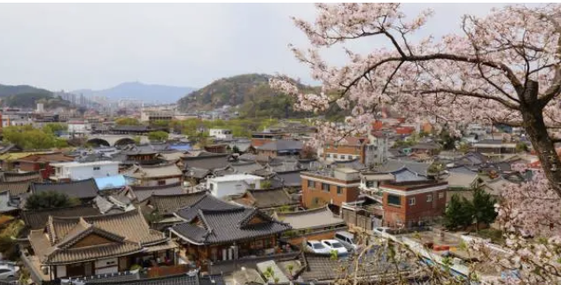 전북에서 만나는 특별한 여행지 추천 
자연, 역사, 그리고 문화의 조화