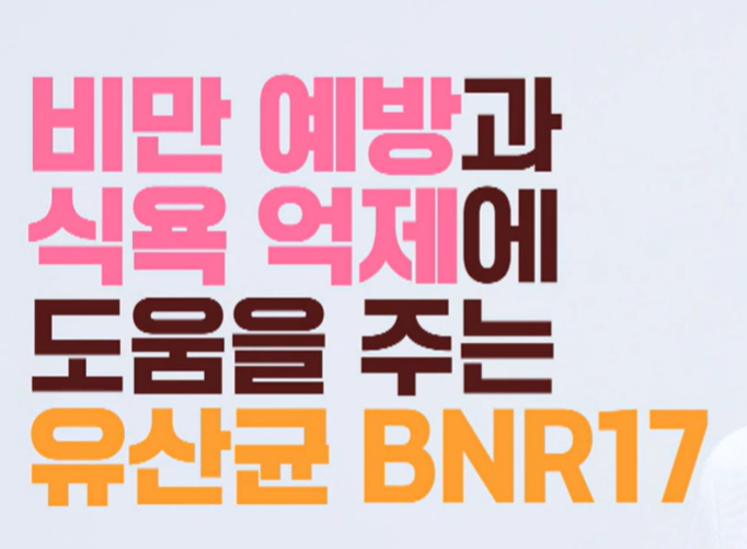 bnr17 유산균 효능