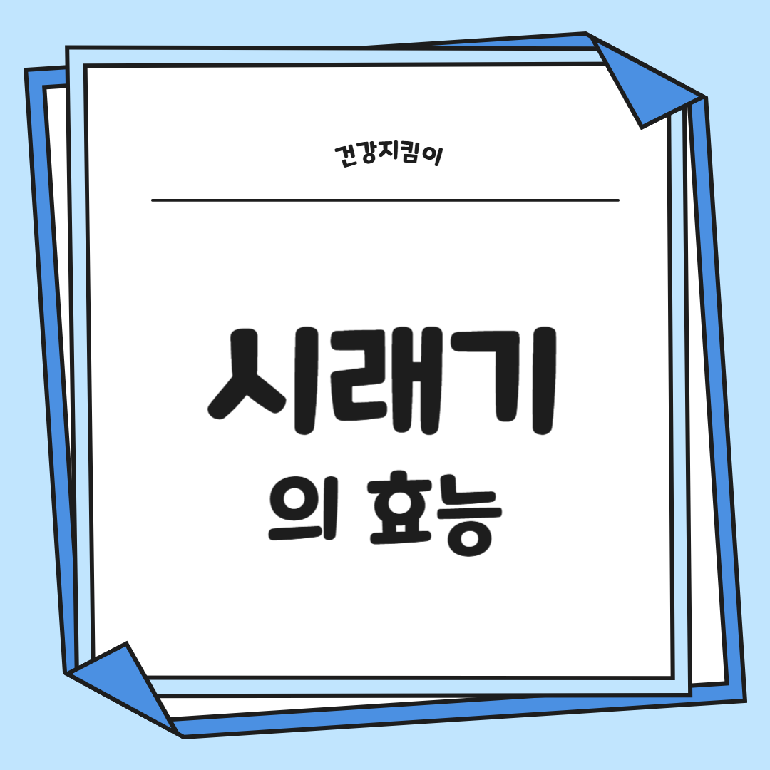 시래기 효능 무청 부작용 고르는법