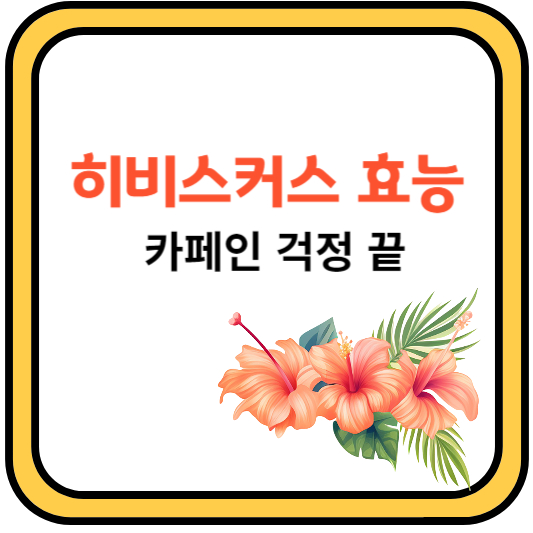 히비스커스