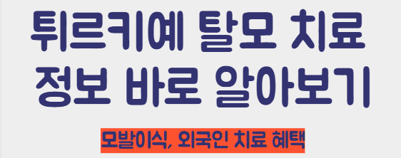 튀르키예 탈모 치료 정보 바로가기