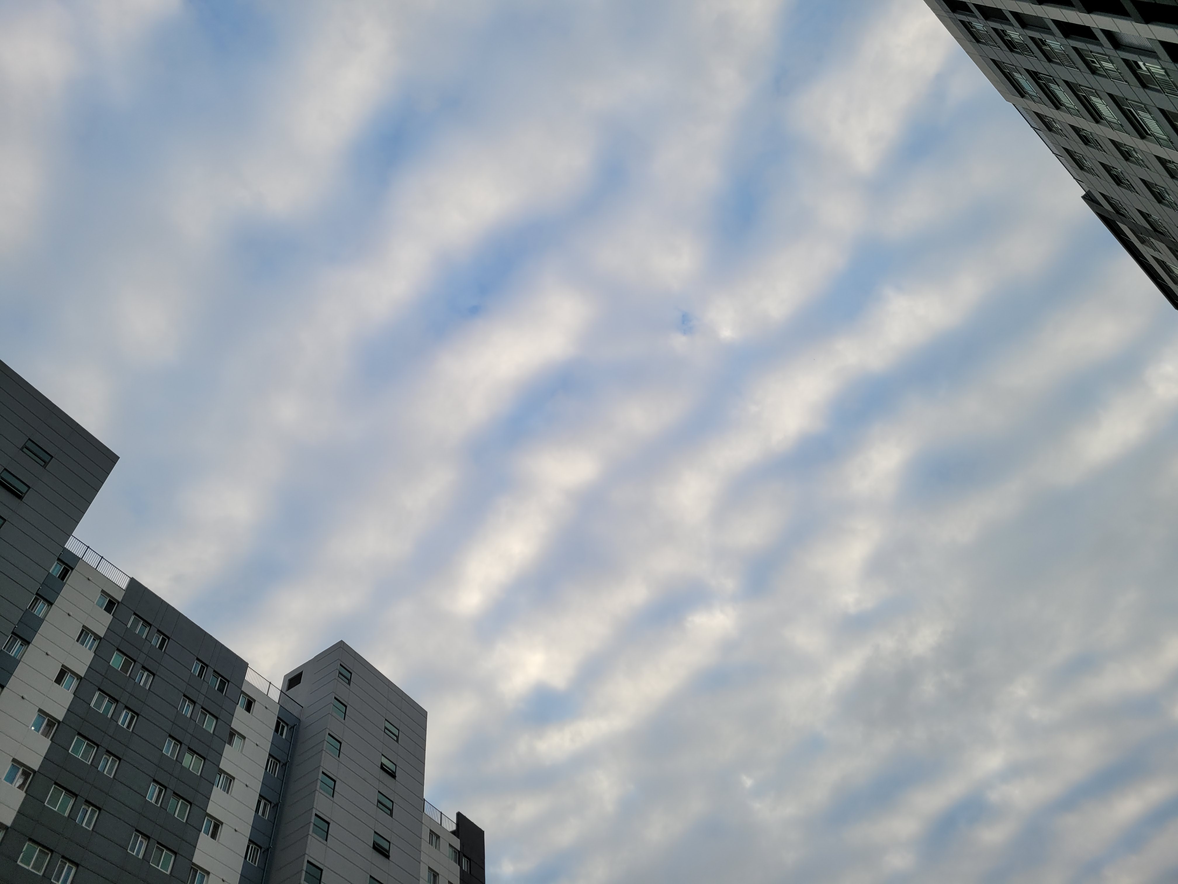 토지 투자 전 토지이용계획확인서 100% 활용하는 방법