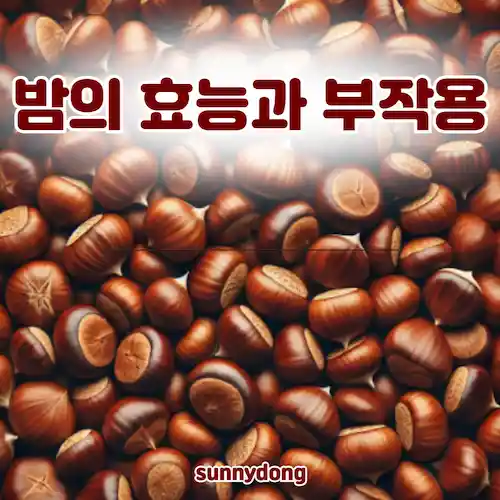 밤의 효능과 부작용 썸네일