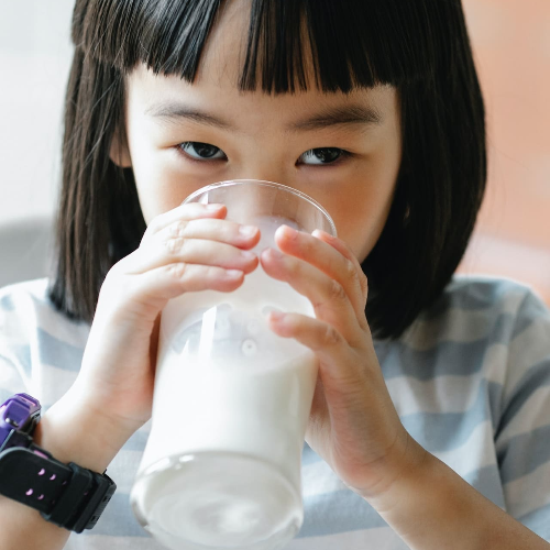 산양유 단백질 분말 효능 섭취방법