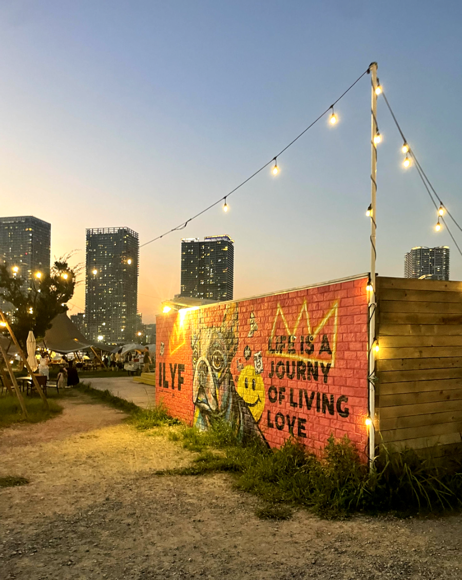 일본 도쿄로 다시 가고 싶은 3박 4일 여행기 - 와일드 매직 야경