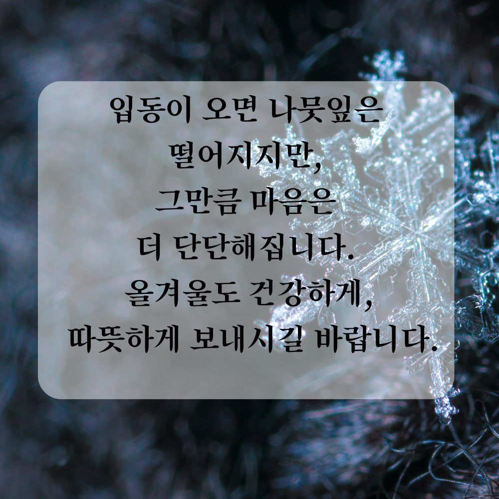 11월 인사말 입동 인사 이미지 문구 사진 그림 모음집