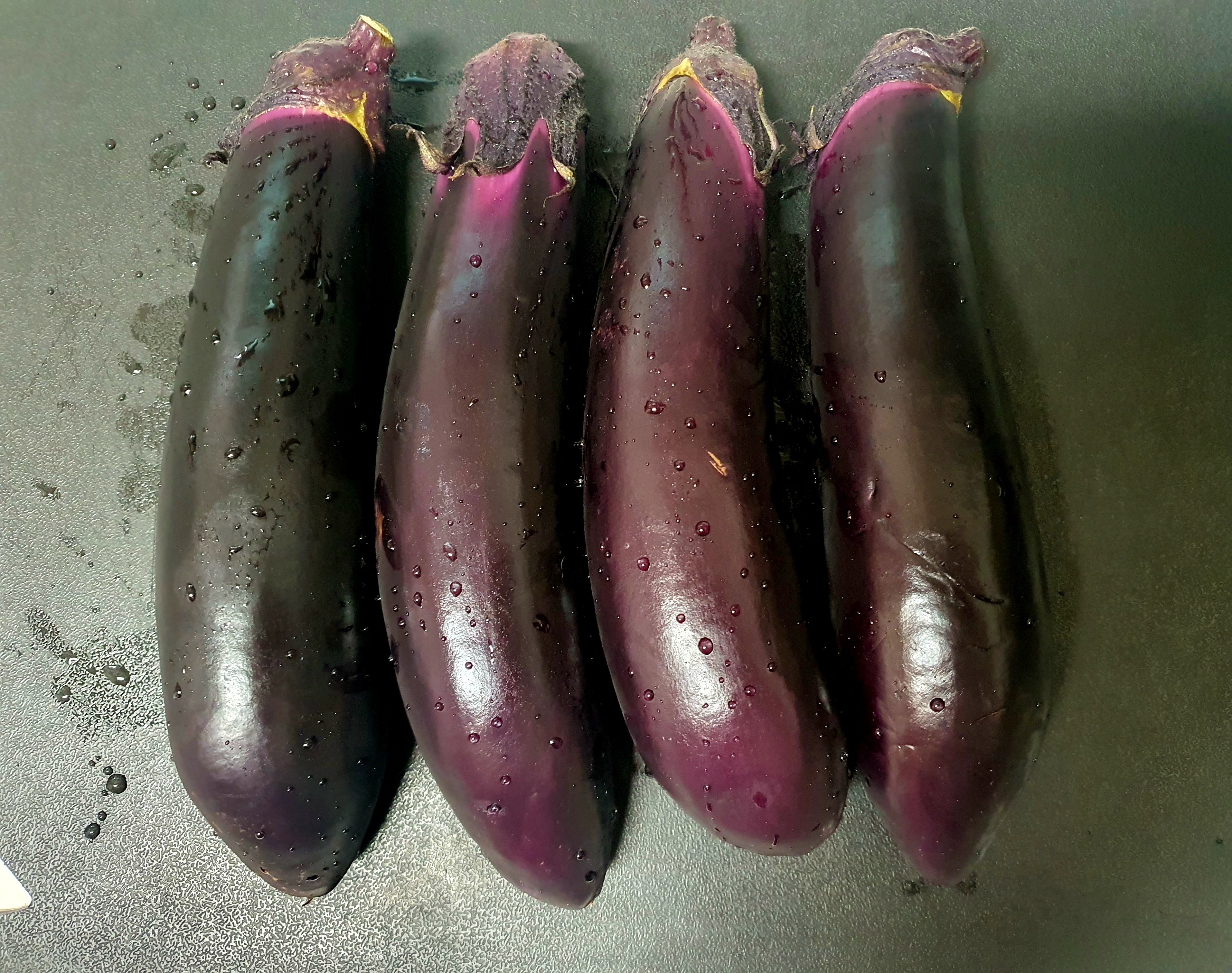 싱싱한-가지를-구입했습니다.